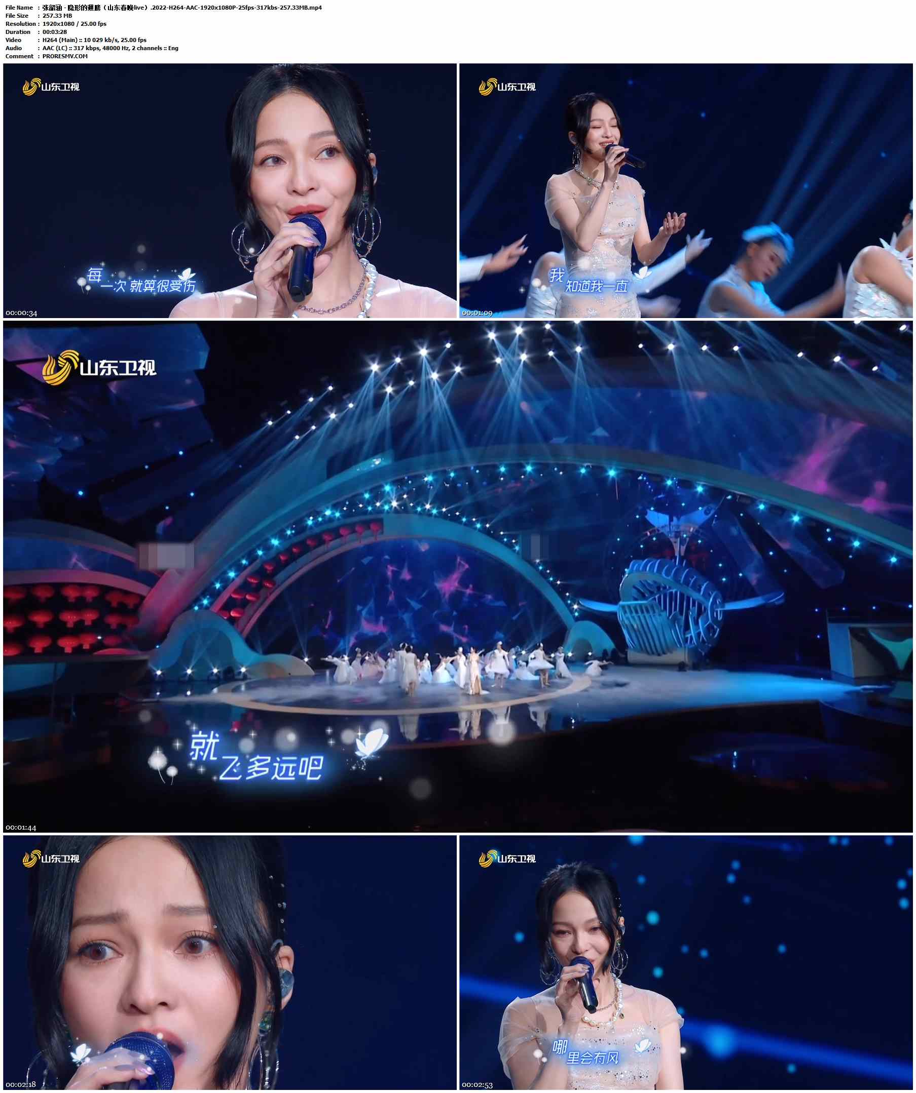 张韶涵 - 隐形的翅膀（山东春晚live）.2022-H264-AAC-1920x1080P-25fps-317kbs-257.33MB官方MV_高清MV